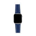 Navy Blue & Silver